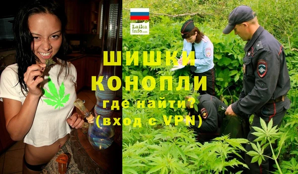 дмт Аркадак