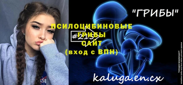 дмт Аркадак